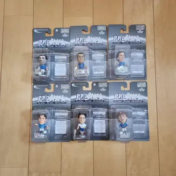 코린시안 이탈리아 대표 플래티넘 6체 세트