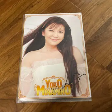 미나미노 요코 40th Anniversary 팜플렛 (클리어 파일 포함)