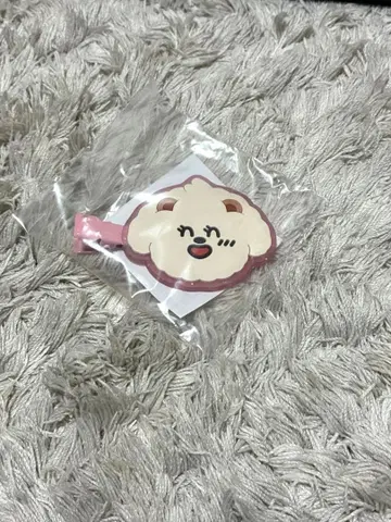 TXT 범규 헤어 클립