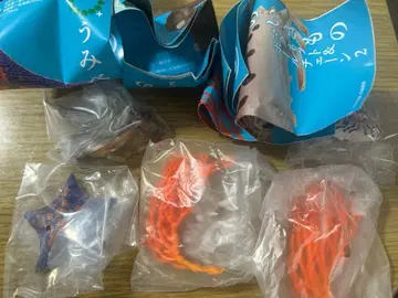 네이처 테크니컬러 해변의 생물 마그넷 & 볼체인 2