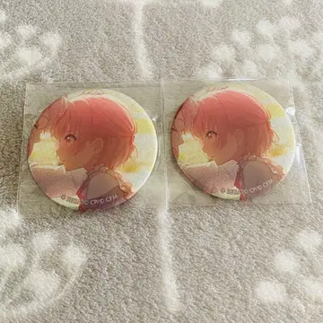 프로세카 아키야마 미즈키 그리캔 37C