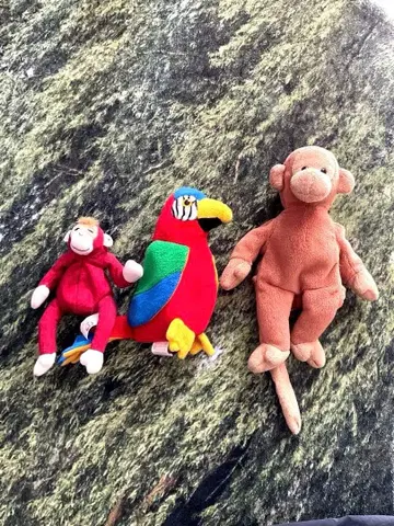 TY 비니 베이비즈