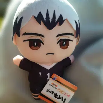 하이큐 미니코레 봉제 인형 3 키타 신스케