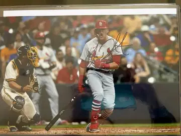 WBC 대표! 친필 사인 누트바 선수 사진 인증서 포함!