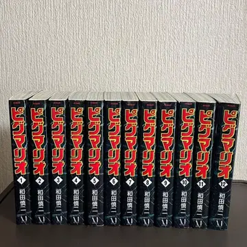 와다 신지 피그마리오 전 12권 초판