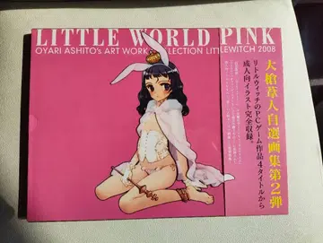 미사용 오야리 아시토 자선 화집 LITTLE WORLD PINK