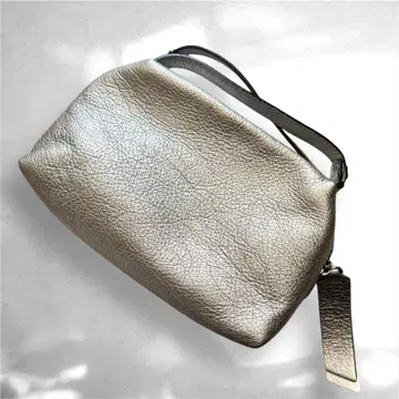 지아니카리니 실버 백