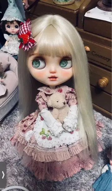 커스텀 브라이스 인기 작가