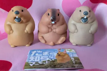 가챠 멈추지 않는 마모트 레드&베이지 푹신푹신 레드 3종