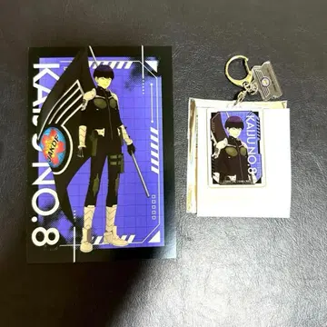 괴수 8호 호시나 플래그