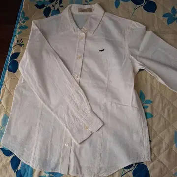 화이트 셔츠 [ 크로커다일 ]