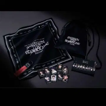 &team 프리미엄 시트 혜택