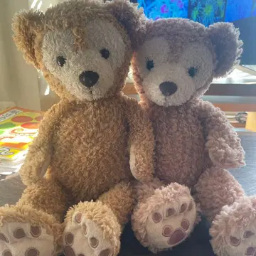 더피 & 셸리메이 약 30cm