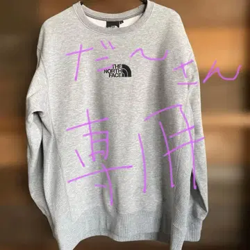 THE NORTH FACE 그레이 맨투맨 L