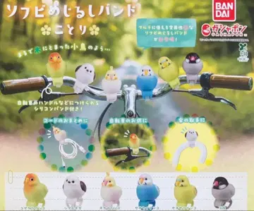 소프트 비닐 표식 밴드 코토리 시마연가와 오카메앵무새