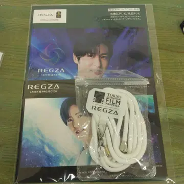 REGZA 레이저 프로젝터 스트랩