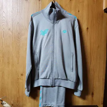 arena LDF 로고 그레이 저지