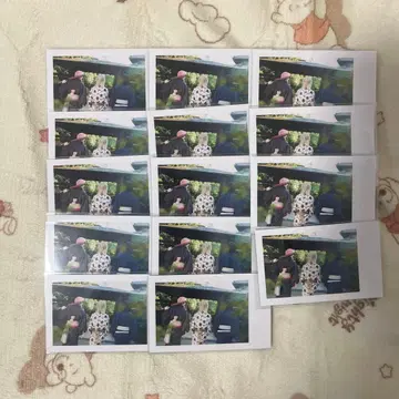 이레귤러즈 랜덤 실사 폴라로이드 어른조