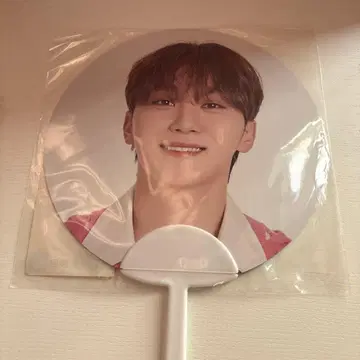 Seungkwan 미니 부채 스승관
