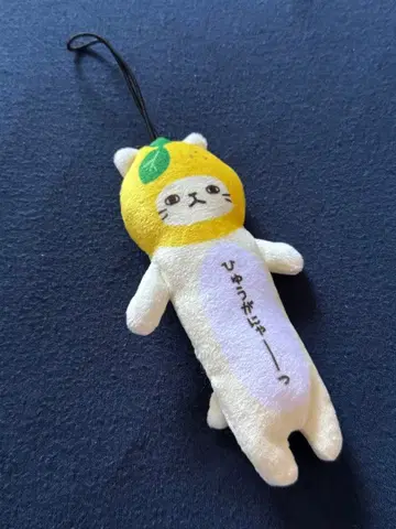 지역 한정 고양이 미야자키