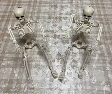 [ 해골 피규어 2체 ] 미사용품