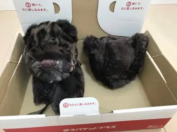 미사용에 가까운 원더풀 월드 곰 코사지 핑크하우스 곰