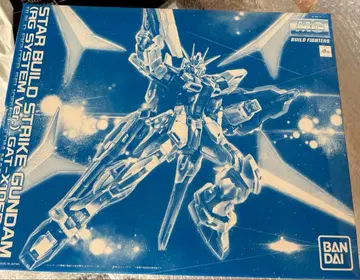 MG 스타 빌드 스트라이크 건담 Ver.RG 시스템