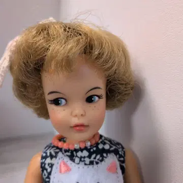 태미의 여동생 페퍼