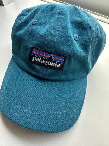[ patagonia ] 파타고니아 파랑 캡 로고