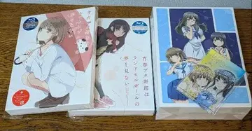 청춘 돼지 / 외출 시스터 / 란도셀 걸 / 수납 BOX 포함