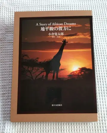 지평선 너머 : 아프리카의 꿈 이야기