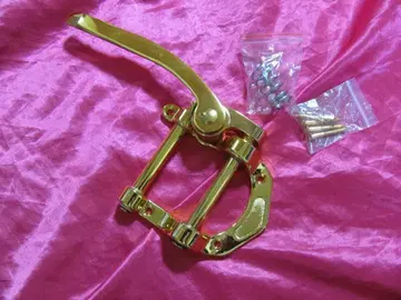 현품 한정 금 비그스비 타입 트레몰로 유닛 골드