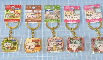 치이카와 키링 신슈 한정판 총 5개