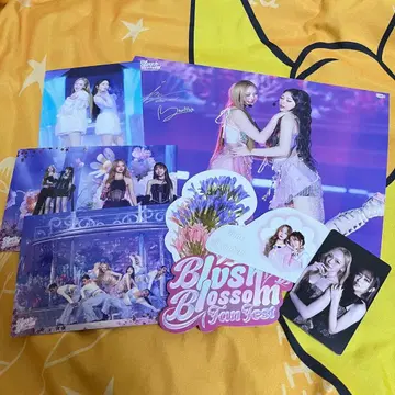 JuneMewnich GMMTV 블러쉬 블라썸 FF 세트