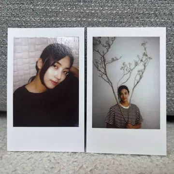 2016 세븐틴 샤다콘 Shining 트레이딩 카드 폴라로이드 정한 하니