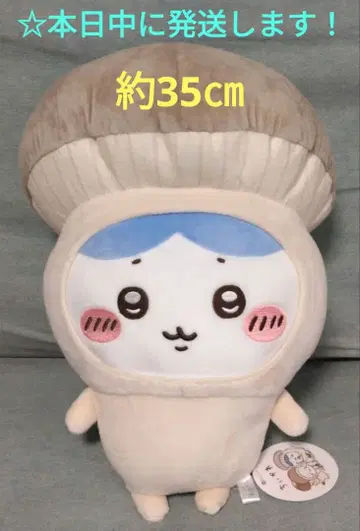 [ 치이카와 (먼작귀) 버섯 인형옷 BIG 봉제 인형 [ 하치와레 ] ]