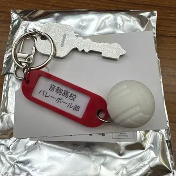 음향고등학교 배구부 키링