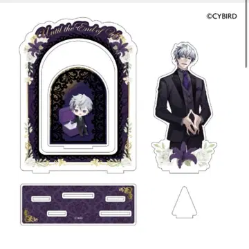 잘생긴 남자 빌런 수주 한정 브라이덜 세트 주드