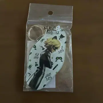 미라큘러스 레이디버그 & 샤 노와르 양면 아크릴 키링
