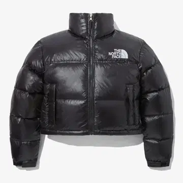 THE NORTH FACE 크롭 다운 블랙 숏 눕시
