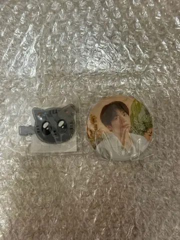 TXT 캡슐 토이 가챠 태현 다고냥 헤어 클립