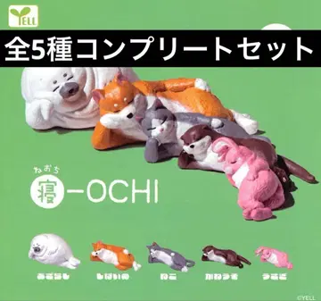 잠-OCHI [ 총 5종 세트 ]