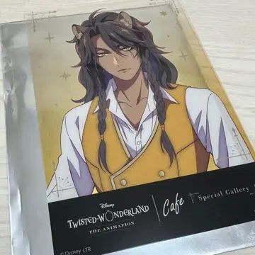 오 마이 카페 트위스테 레오나 킹스컬러 특전 클리어 카드 사바나