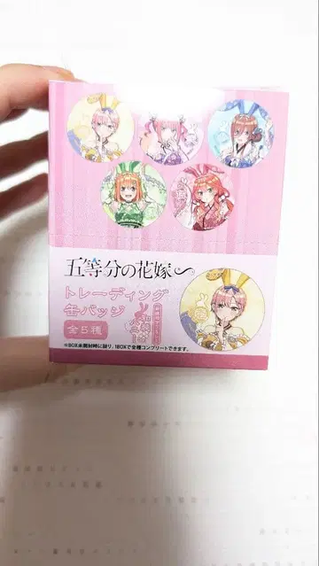 5등분의 신부 트레이딩 캔뱃지 BOX (전 5종)