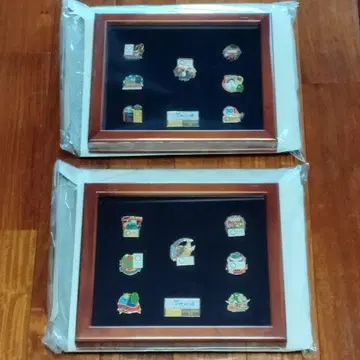 아이치 엑스포 아이치 만박 카운트다운 핀 배지 액자 포함 2종 일괄