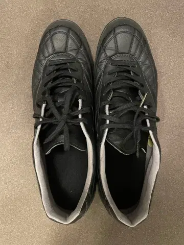 모렐리아 SALA JAPAN TF 30cm