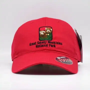유스 사이즈 그레이트 스모키 마운틴 내추럴 파크 자수 캡