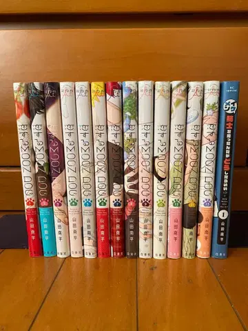 사랑하는 MOON DOG & 스핀오프