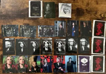 BUCK-TICK 트레이딩 카드 20장 키링 1개