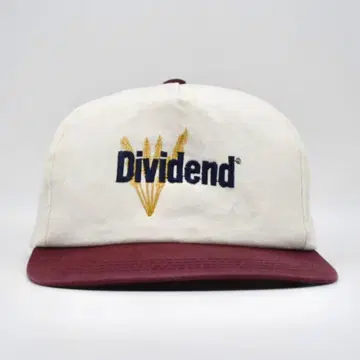 90s 빈티지 자수 캡 기업 캡 Dividend 구제 의류